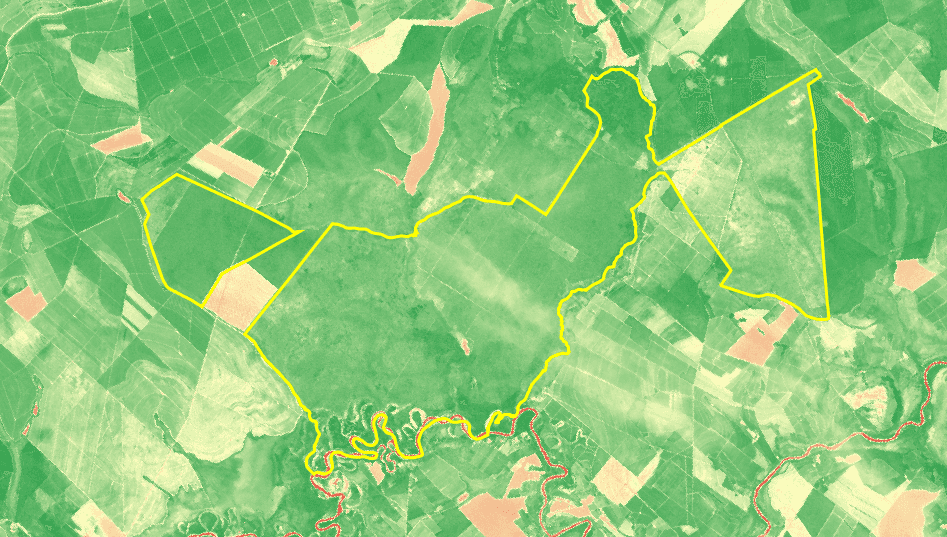 Aerial view of the Amazon rainforest